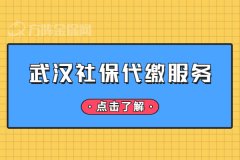 武汉社保代缴服务流程