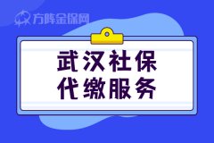 武汉社保代缴服务，选方阵金保网！