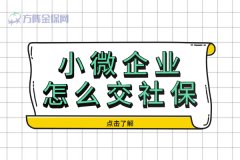 人数不多的小微企业怎么交社保？