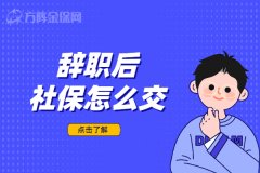 辞职后社保怎么交？选择其实很灵活！