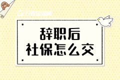 方阵金保网：辞职后社保怎么交？