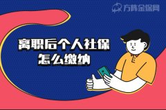 职场小白不迷路：离职后个人社保怎么缴纳？