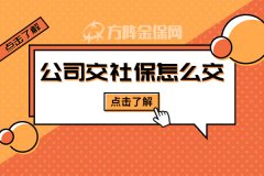 小型创业公司交社保怎么交？