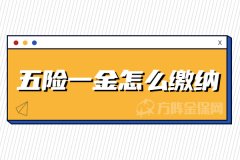 五险一金怎么缴纳？这里有详细解说！