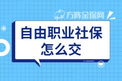 自由职业社保怎么交，每月交多少钱？