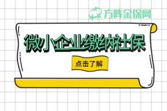 微小企业缴纳社保有什么方式可以选？