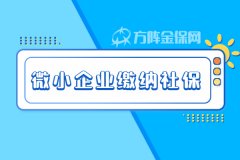 微小企业缴纳社保如何省时省力省钱？