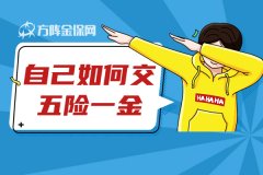 自己如何交五险一金？选择人力资源公司