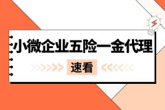 小微企业五险一金代理具体服务流程是什么？