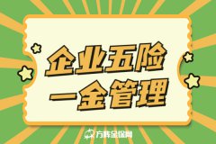 小微企业五险一金管理最佳解决方案，选它就对