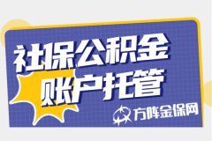 社保公积金账户托管服务，助力中小企业发展