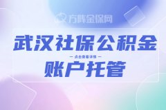 小微企业一定要看看武汉社保公积金账户托管