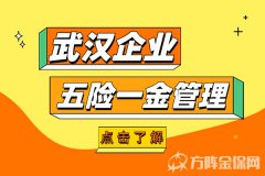 武汉企业五险一金管理服务