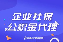 企业社保公积金代理服务能提供哪些服务？