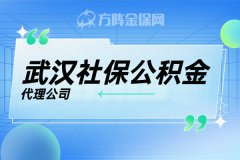 武汉社保公积金代理公司可以操作社保账户吗？