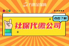 社保代缴公司的服务内容有哪些