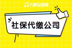 没有账户、没人管理，找社保代缴公司