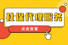 为什么越来越多初创企业选择社保代理服务？