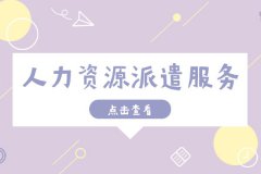 新成立公司一定要选择人力资源派遣服务