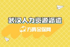 外地企业需要武汉人力资源派遣怎么选平台？