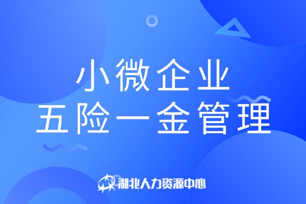 小微企业五险一金管理