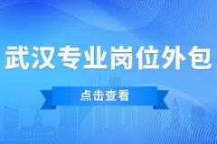 什么样的情况适用于武汉专业岗位外包呢？