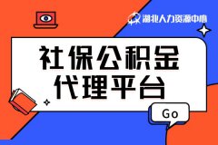 社保公积金代理平台的服务范围