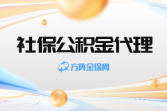 异地人事别愁！一站式社保公积金代理太靠谱